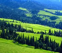 战略上战术上经典语录